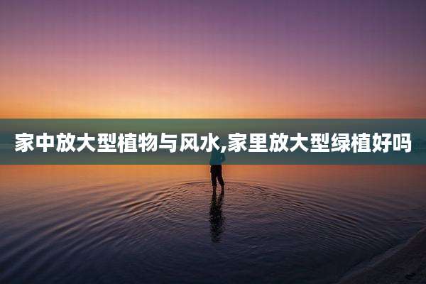家中放大型植物与风水,家里放大型绿植好吗