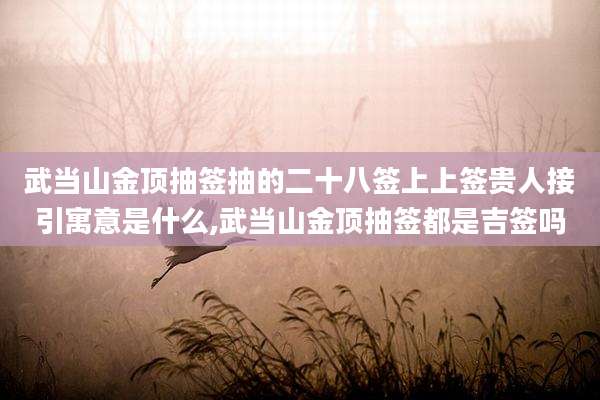 武当山金顶抽签抽的二十八签上上签贵人接引寓意是什么,武当山金顶抽签都是吉签吗