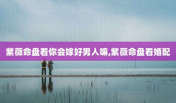 紫薇命盘看你会嫁好男人嘛,紫薇命盘看婚配
