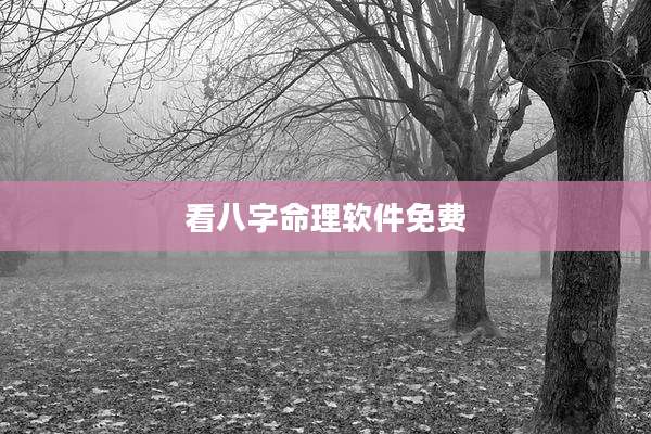 看八字命理软件免费