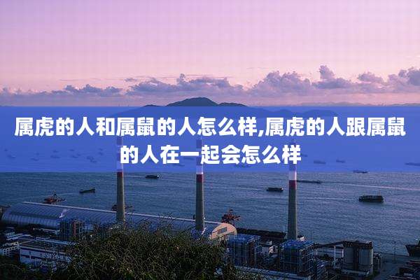 属虎的人和属鼠的人怎么样,属虎的人跟属鼠的人在一起会怎么样