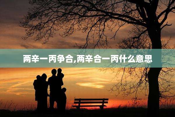 两辛一丙争合,两辛合一丙什么意思