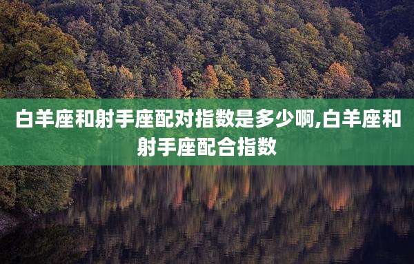 白羊座和射手座配对指数是多少啊,白羊座和射手座配合指数