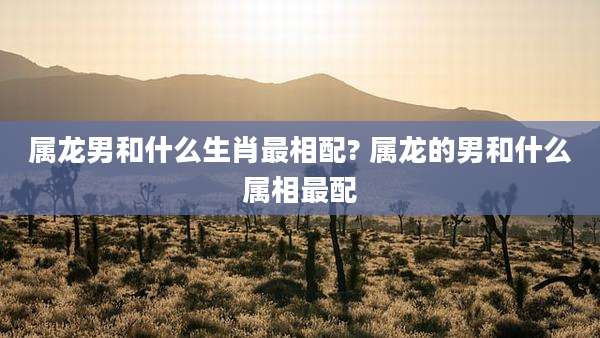 属龙男和什么生肖最相配? 属龙的男和什么属相最配
