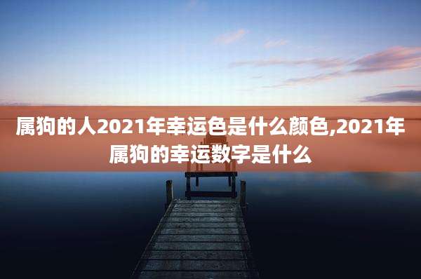 属狗的人2021年幸运色是什么颜色,2021年属狗的幸运数字是什么