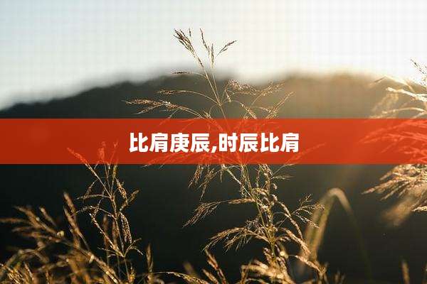 比肩庚辰,时辰比肩