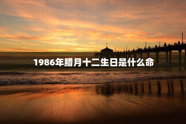1986年腊月十二生日是什么命