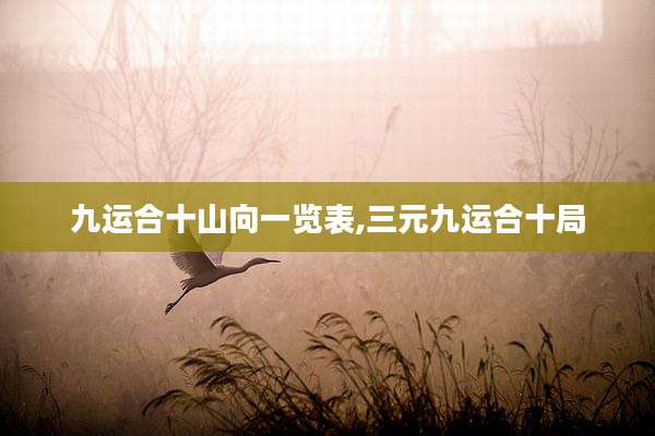 九运合十山向一览表,三元九运合十局