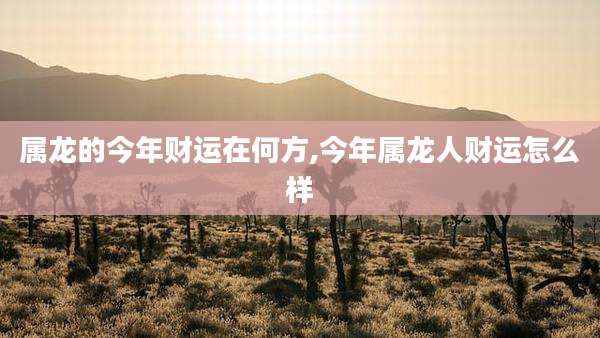 属龙的今年财运在何方,今年属龙人财运怎么样