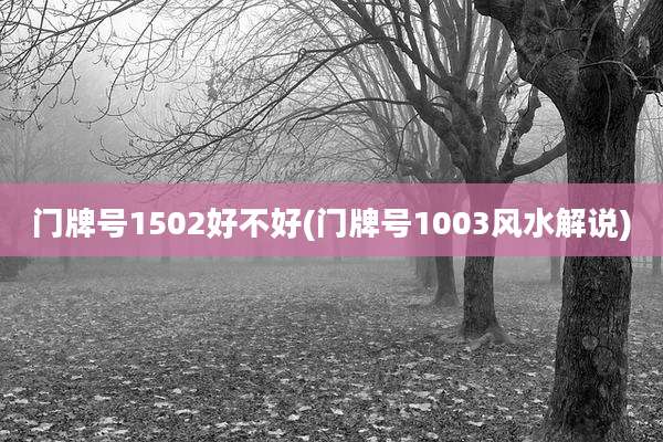 门牌号1502好不好(门牌号1003风水解说)