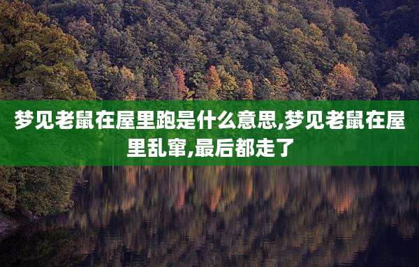 梦见老鼠在屋里跑是什么意思,梦见老鼠在屋里乱窜,最后都走了