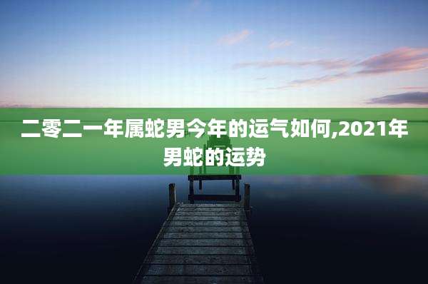 二零二一年属蛇男今年的运气如何,2021年男蛇的运势