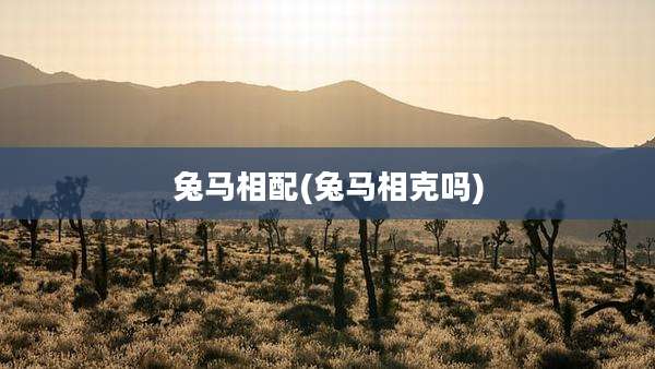 兔马相配(兔马相克吗)