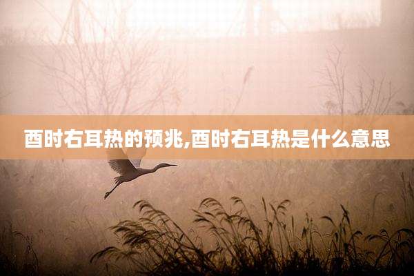 酉时右耳热的预兆,酉时右耳热是什么意思