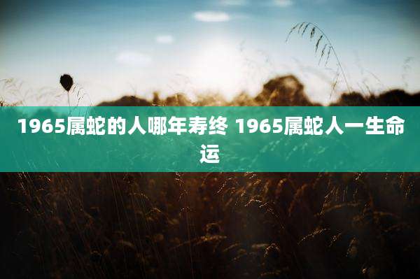 1965属蛇的人哪年寿终 1965属蛇人一生命运