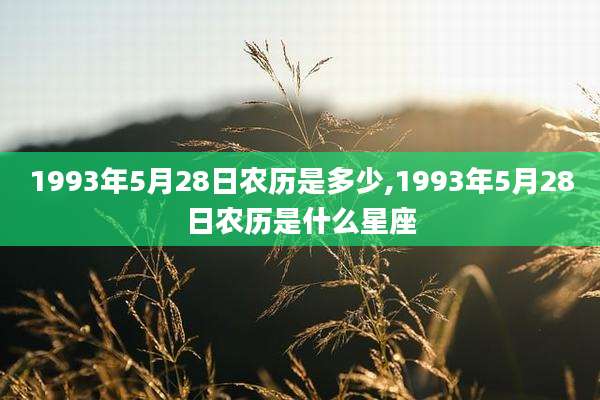 1993年5月28日农历是多少,1993年5月28日农历是什么星座