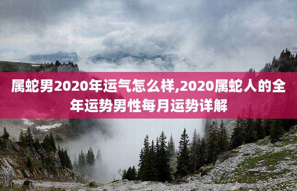 属蛇男2020年运气怎么样,2020属蛇人的全年运势男性每月运势详解