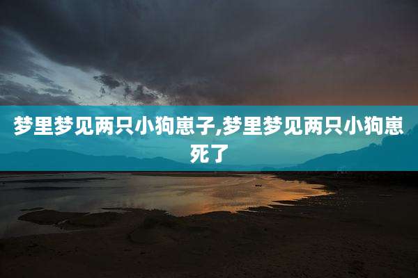 梦里梦见两只小狗崽子,梦里梦见两只小狗崽死了