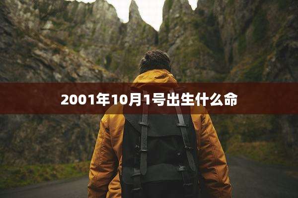 2001年10月1号出生什么命