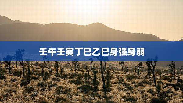 壬午壬寅丁巳乙巳身强身弱