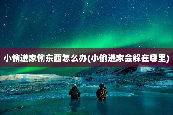 小偷进家偷东西怎么办(小偷进家会躲在哪里)