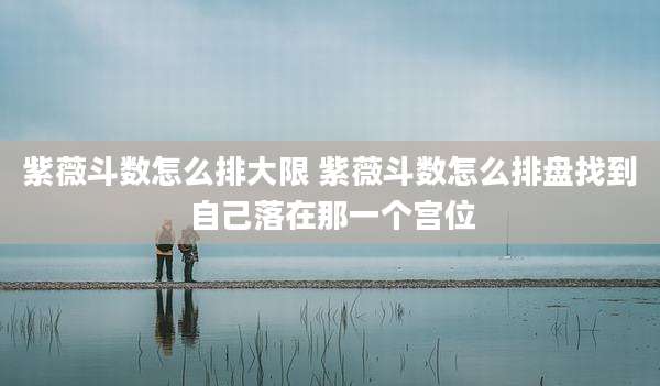 紫薇斗数怎么排大限 紫薇斗数怎么排盘找到自己落在那一个宫位
