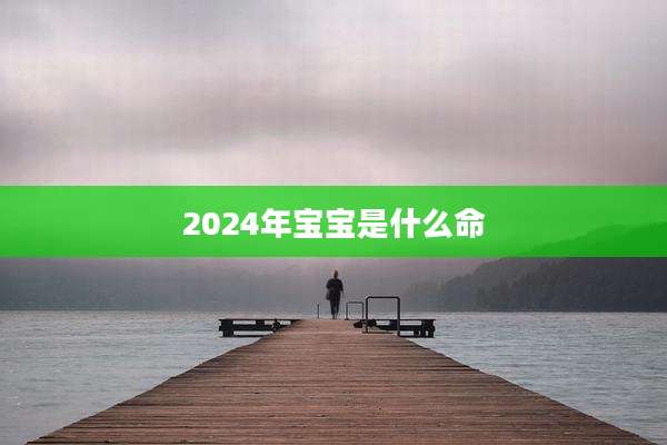2024年宝宝是什么命