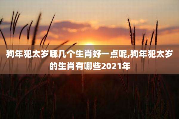 狗年犯太岁哪几个生肖好一点呢,狗年犯太岁的生肖有哪些2021年