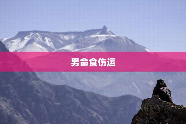 男命食伤运