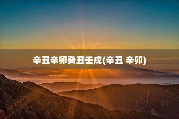 辛丑辛卯癸丑壬戌(辛丑 辛卯)