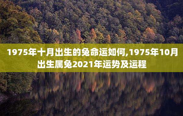 1975年十月出生的兔命运如何,1975年10月出生属兔2021年运势及运程