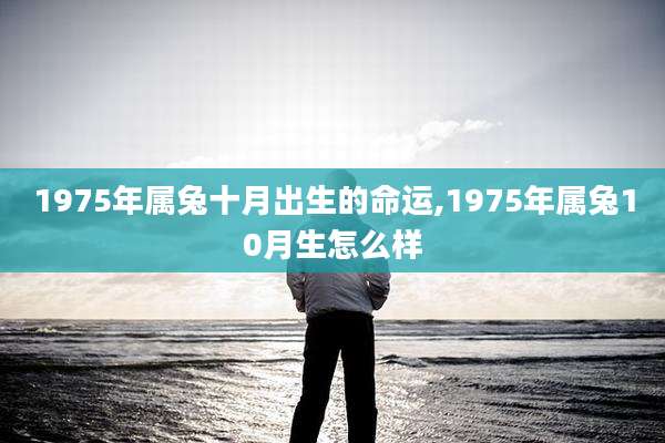 1975年属兔十月出生的命运,1975年属兔10月生怎么样