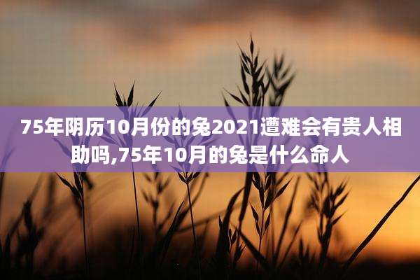 75年阴历10月份的兔2021遭难会有贵人相助吗,75年10月的兔是什么命人