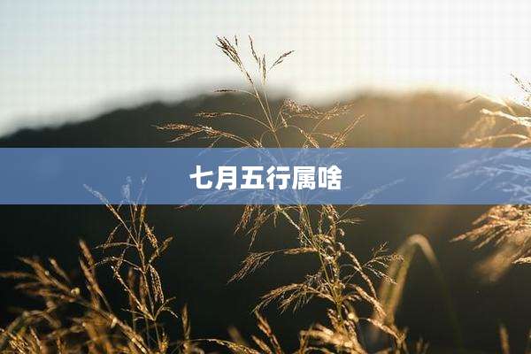 七月五行属啥