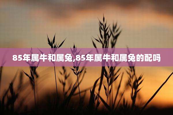 85年属牛和属兔,85年属牛和属兔的配吗