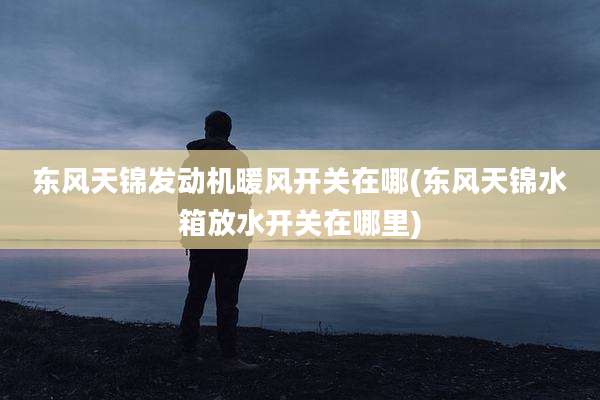 东风天锦发动机暖风开关在哪(东风天锦水箱放水开关在哪里)