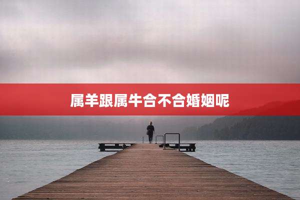 属羊跟属牛合不合婚姻呢