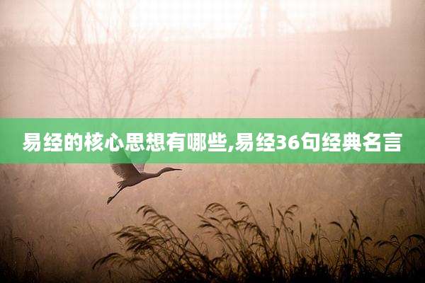 易经的核心思想有哪些,易经36句经典名言