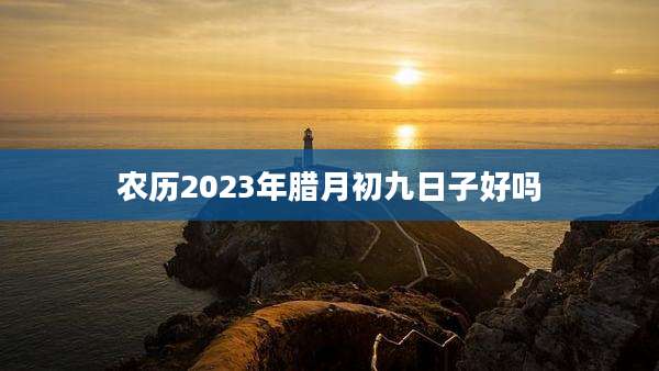 农历2023年腊月初九日子好吗