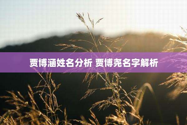 贾博涵姓名分析 贾博尧名字解析