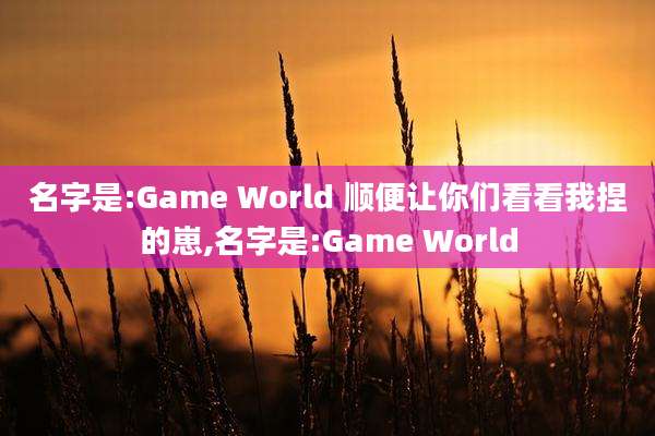名字是:Game World 顺便让你们看看我捏的崽,名字是:Game World