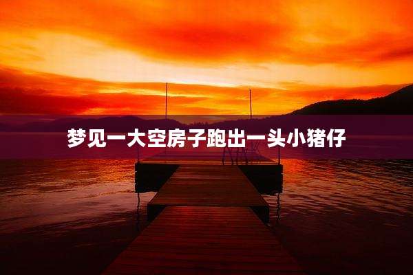 梦见一大空房子跑出一头小猪仔
