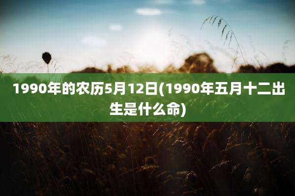 1990年的农历5月12日(1990年五月十二出生是什么命)