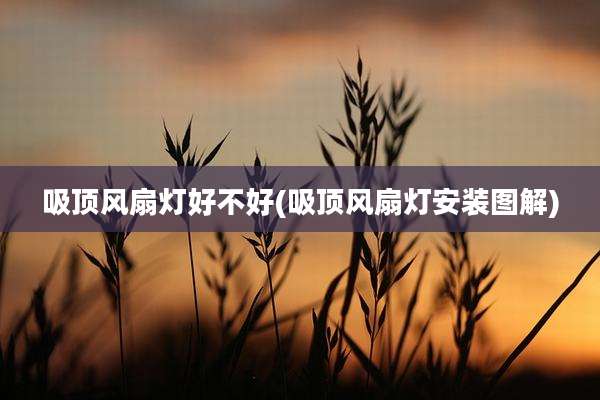 吸顶风扇灯好不好(吸顶风扇灯安装图解)