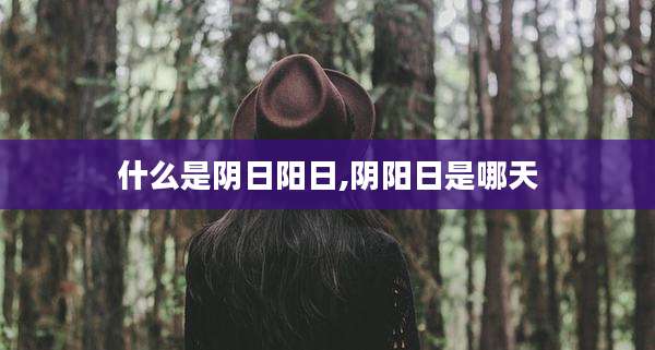 什么是阴日阳日,阴阳日是哪天