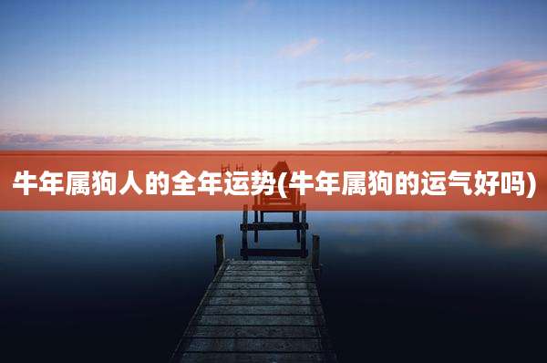 牛年属狗人的全年运势(牛年属狗的运气好吗)
