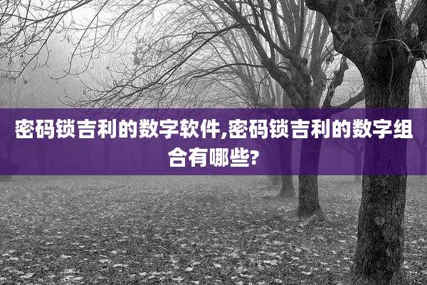 密码锁吉利的数字软件,密码锁吉利的数字组合有哪些?