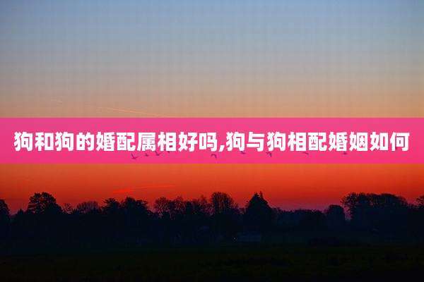 狗和狗的婚配属相好吗,狗与狗相配婚姻如何