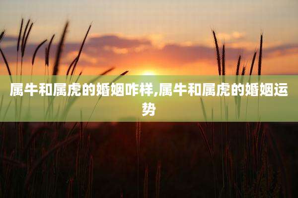 属牛和属虎的婚姻咋样,属牛和属虎的婚姻运势