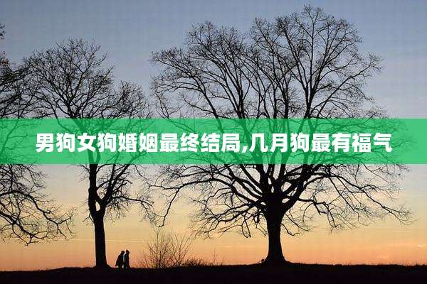 男狗女狗婚姻最终结局,几月狗最有福气